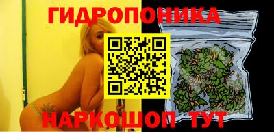 индика Балашиха