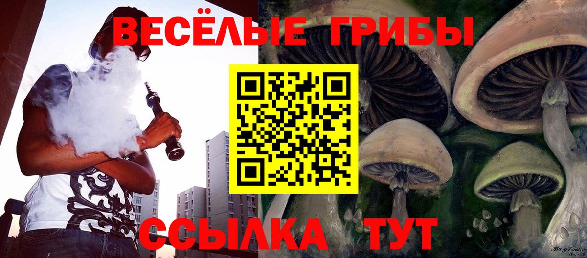 Галлюциногенные грибы прущие грибы  Галлюциногенные грибы мухоморы  Вход с VPN  дарнет шоп  Грозный 