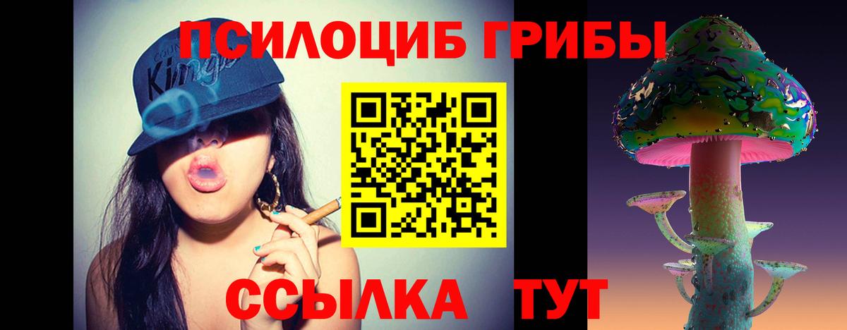 Псилоцибиновые грибы Magic Shrooms Грозный